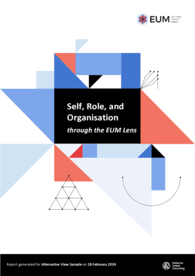 Individual-Organization Report thumbnail